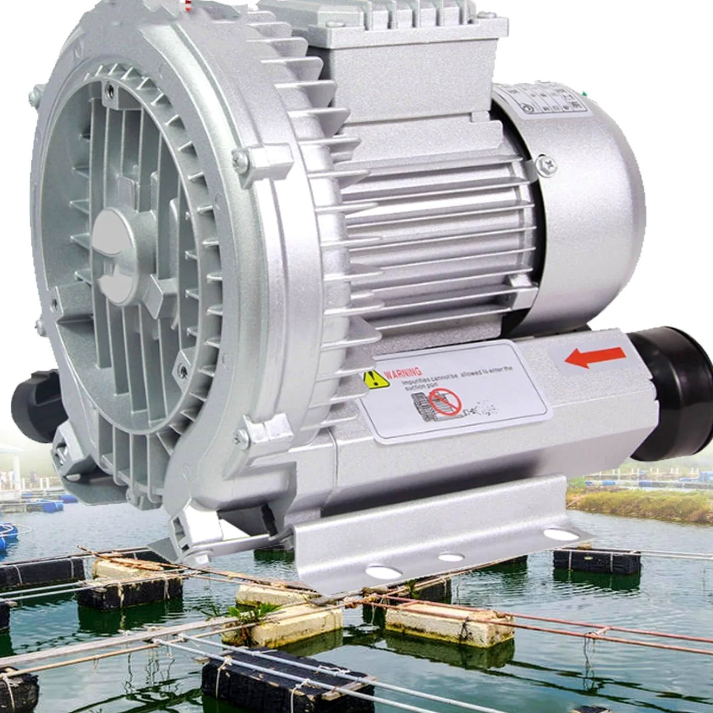 Soffiante Monofase 220v, Soffiante Ad Anello Vortice Ad Alta Pressione, Pompa per Vuoto Industriale per Soffiaggio O Aspirazione Dell'aria, 120w-1500w,120W/0.16HP
