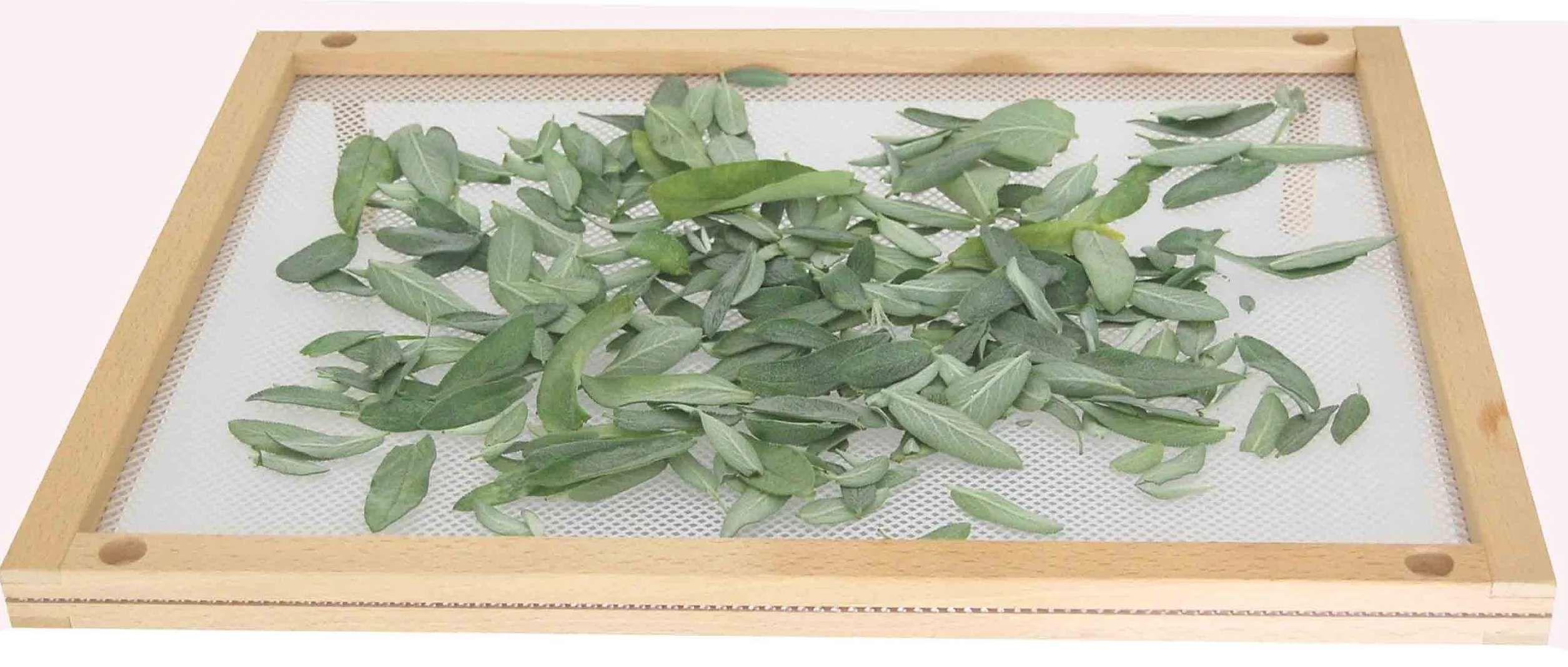 Secca Pasta/Funghi Cm.50X40, Lega di acciaio, Marrone