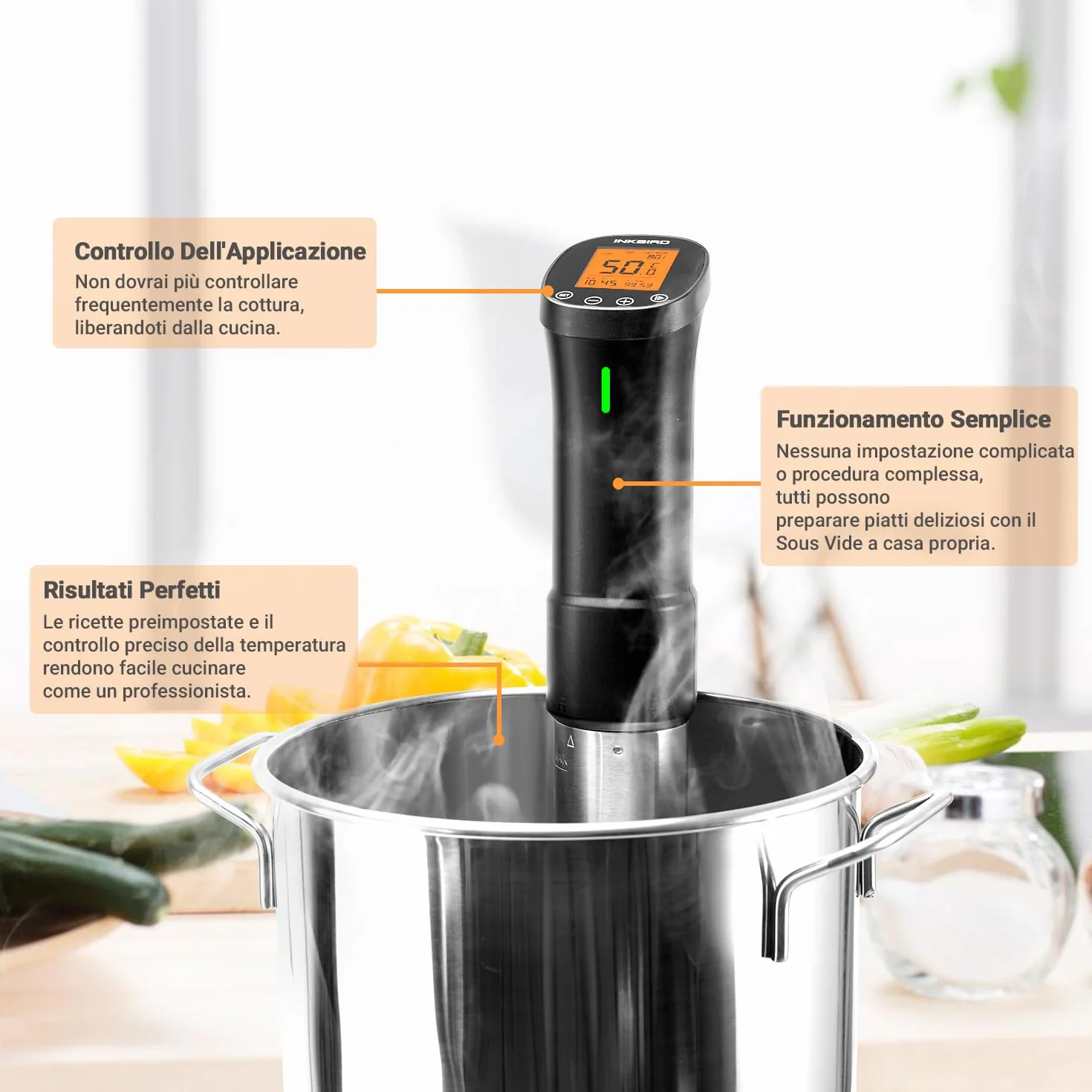 INKBIRD WiFi Sous Vide Roner 1000W Professionale 0°C~90°C Cottura Bassa Temperatura con Ricette APP ISV-200W