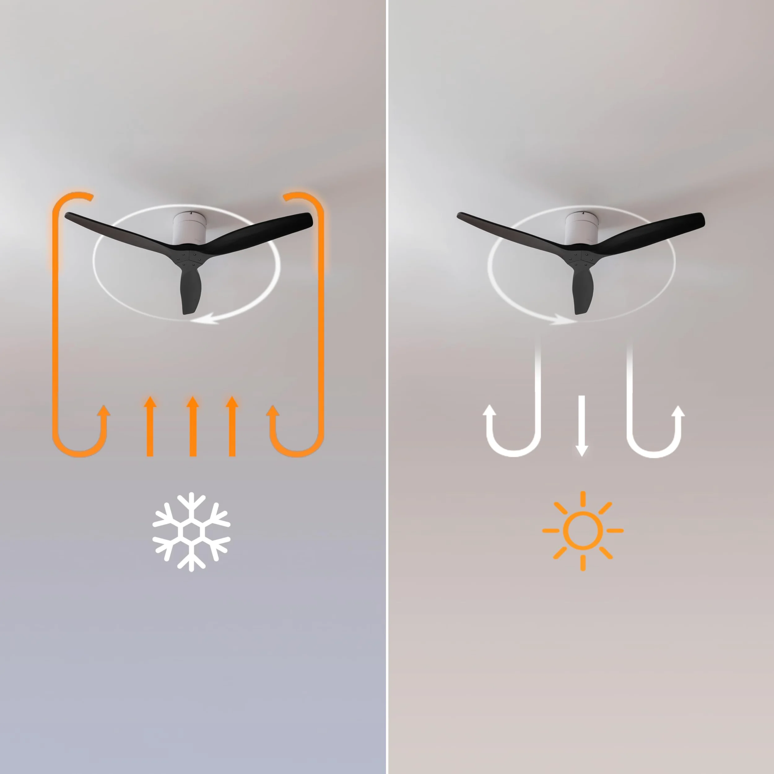 Cecotec - Ventilatori da Soffitto EnergySilence Aero 5500 Aqua White&Black Connected - 40 W, Diametro 132 cm, Wi-Fi, Protezione IP44, Timer 8 Ore, 3 Pale, 6 Velocità, Estate/Inverno