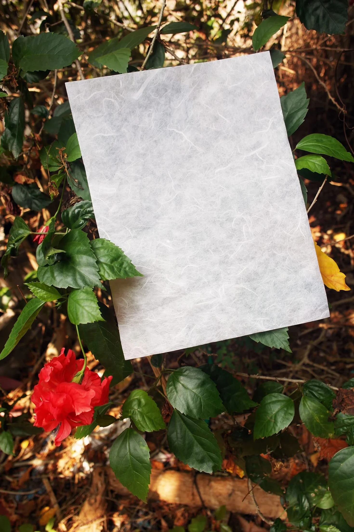 Carta Washi giapponese 50 fogli origami fatta a mano per decoupage biglietti