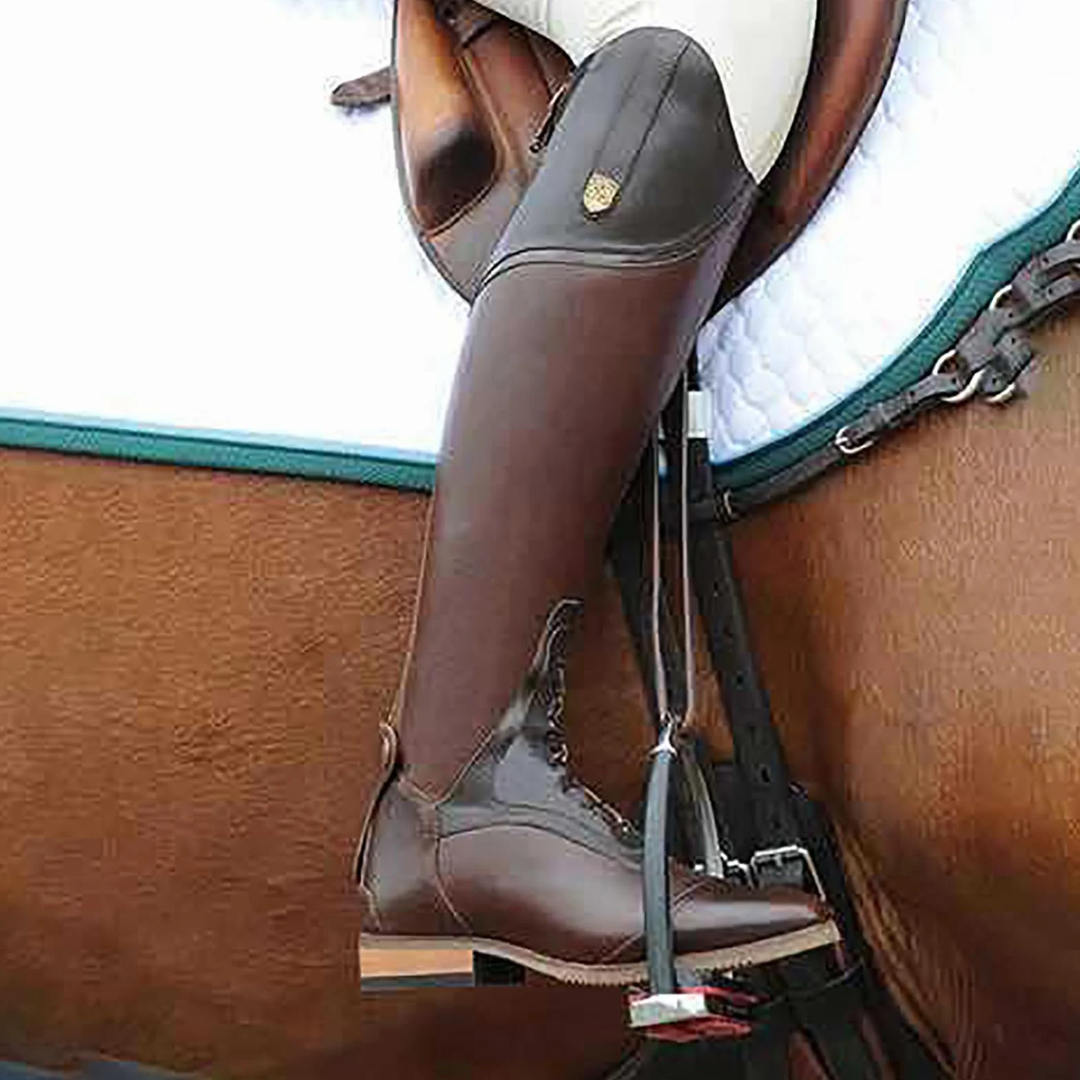 Stivali Da Equitazione Alti Al Ginocchio Uomo 45 Black Cerniera Posteriore Resistente Allo Scivolamento