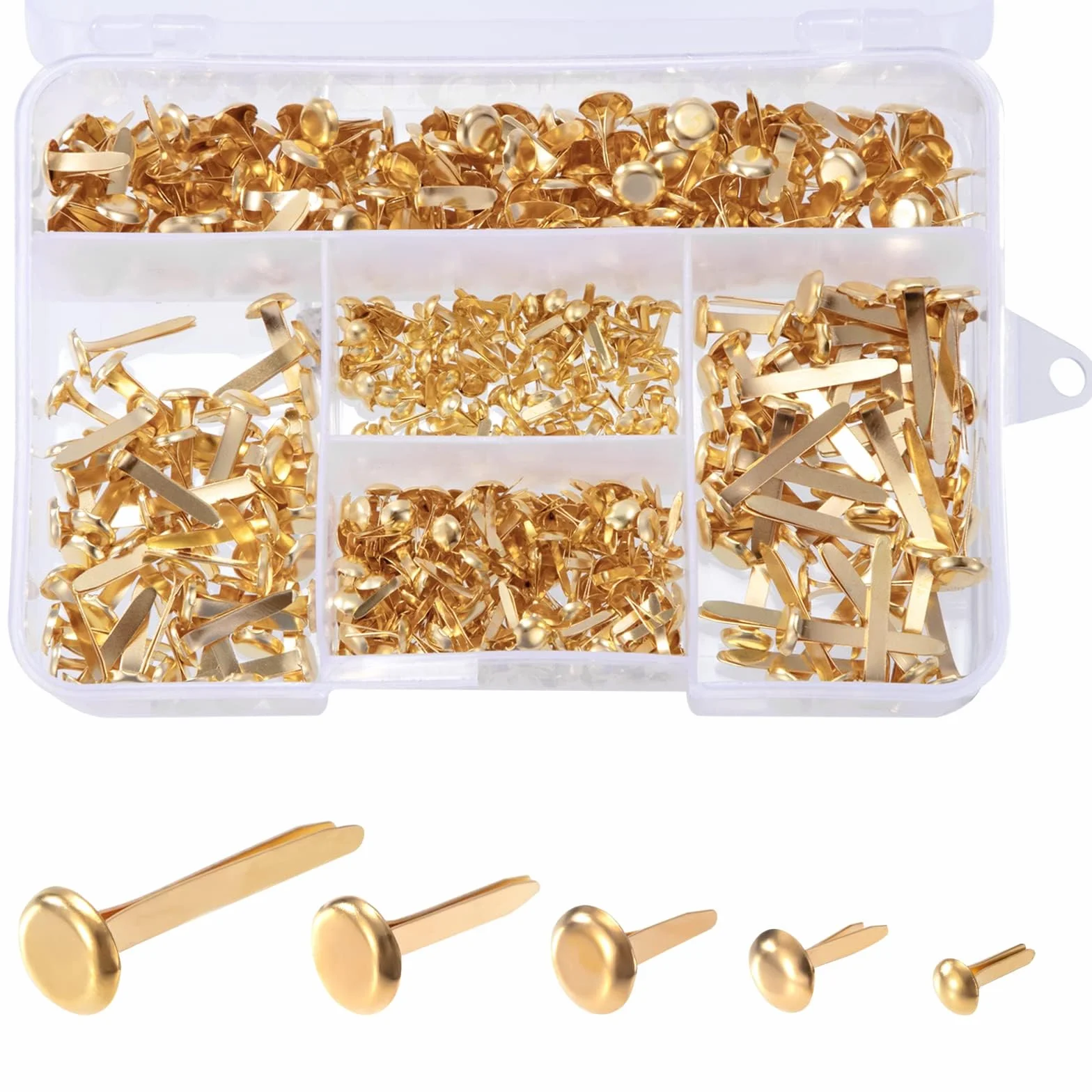 500 Pezzi Mini Fermacampioni, Scrapbooking Brads, Metallo Elementi di Fissaggio in Carta Piccoli con Casella per Album di Ritagli di Artigianale DIY, 5 Specifiche