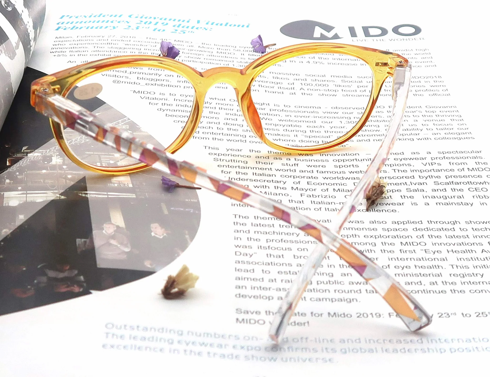 MODFANS Occhiali da Lettura Donna Cerniera a Molla Leggera Custodia Colori Misti
