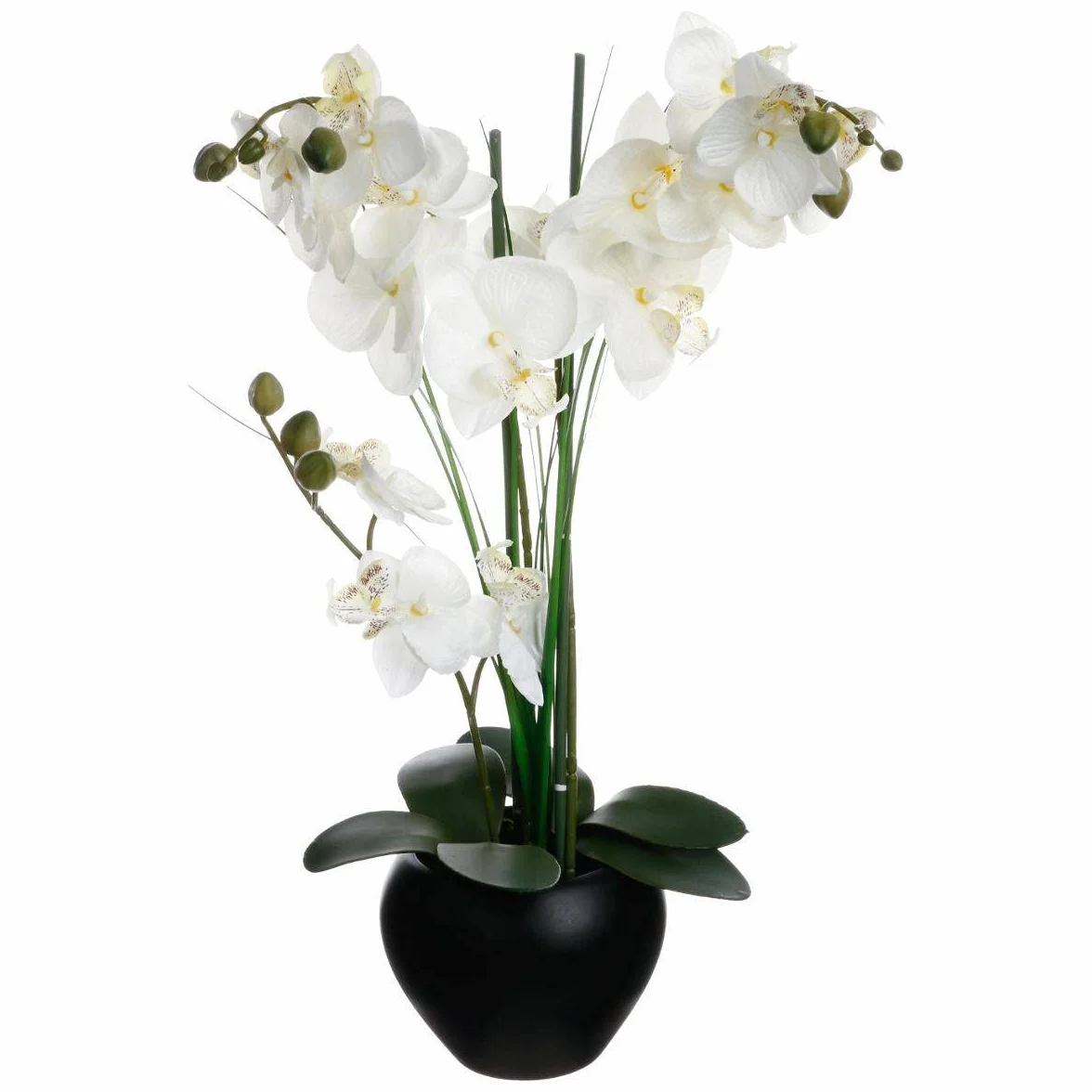 ATMOSPHERA CREATEUR D'INTERIEUR - Orchidea artificiale vaso in ceramica nera H53cm