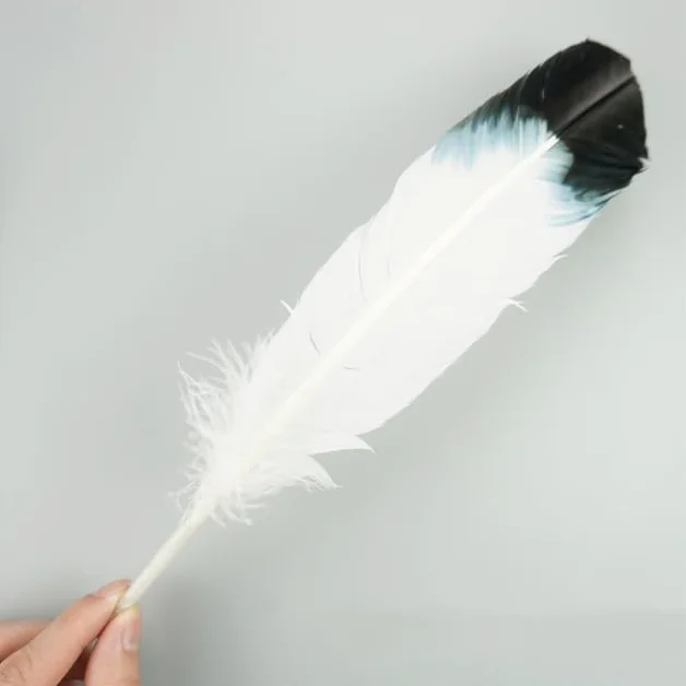 Piume Naturali d'Aquila per Artigianato, Accessori Copricapo, Decorazione Carnevale, 10 Pezzi