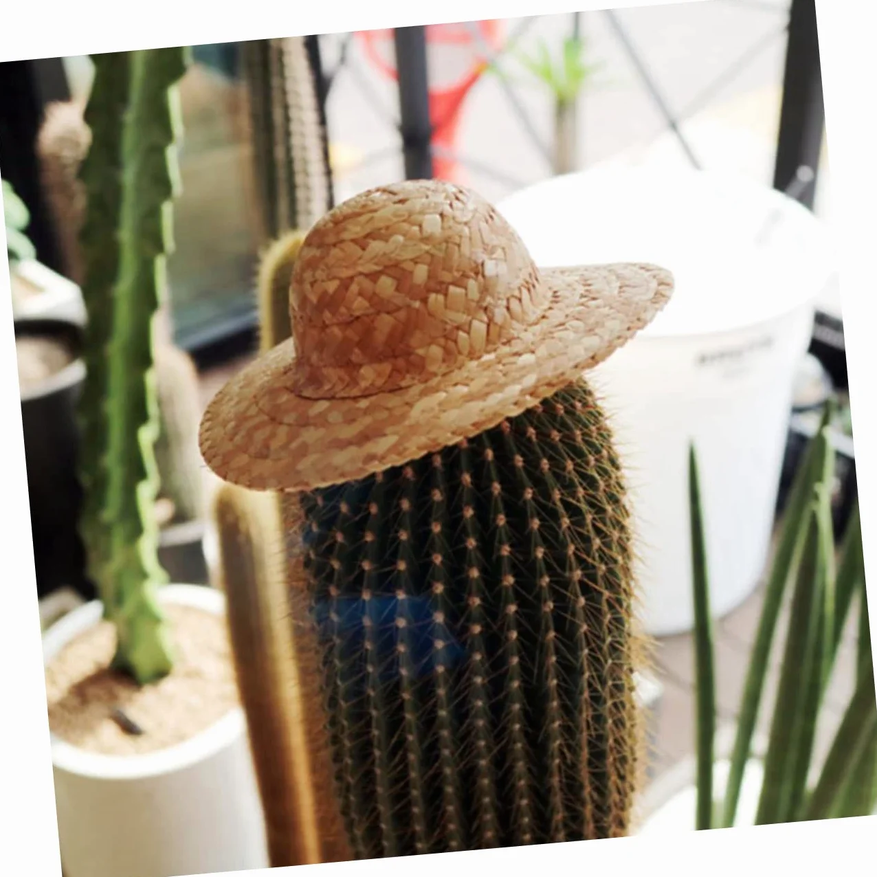 Uonlytech 10 Pezzi Mini Cappelli di Paglia per Bambole Cappelli Fatti a Mano Rotondi in Paglia Khaki Accessori Essenziali per Artigianato Fai da Te e Creativo