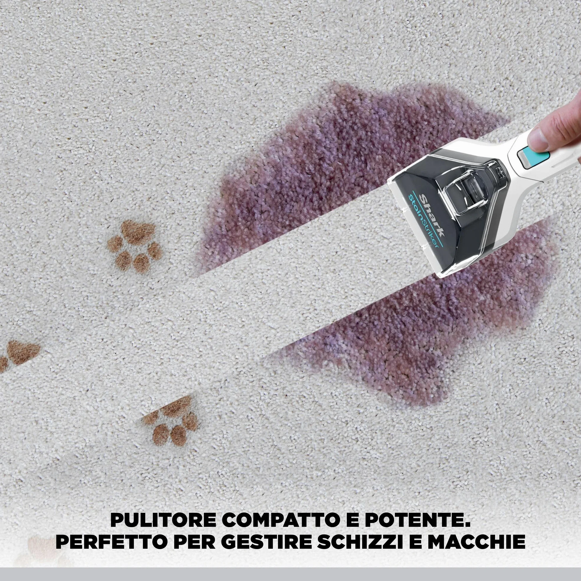 Shark StainStriker Pulitore Tappezzeria e Smacchiatore, 5 Accessori, Animali Domestici, Fessure e Tubo Flessibile, 2 Detergenti, Rimuove le Macchie, Odore e Sporco, Leggero, Portatile, 450W PX200EUT.