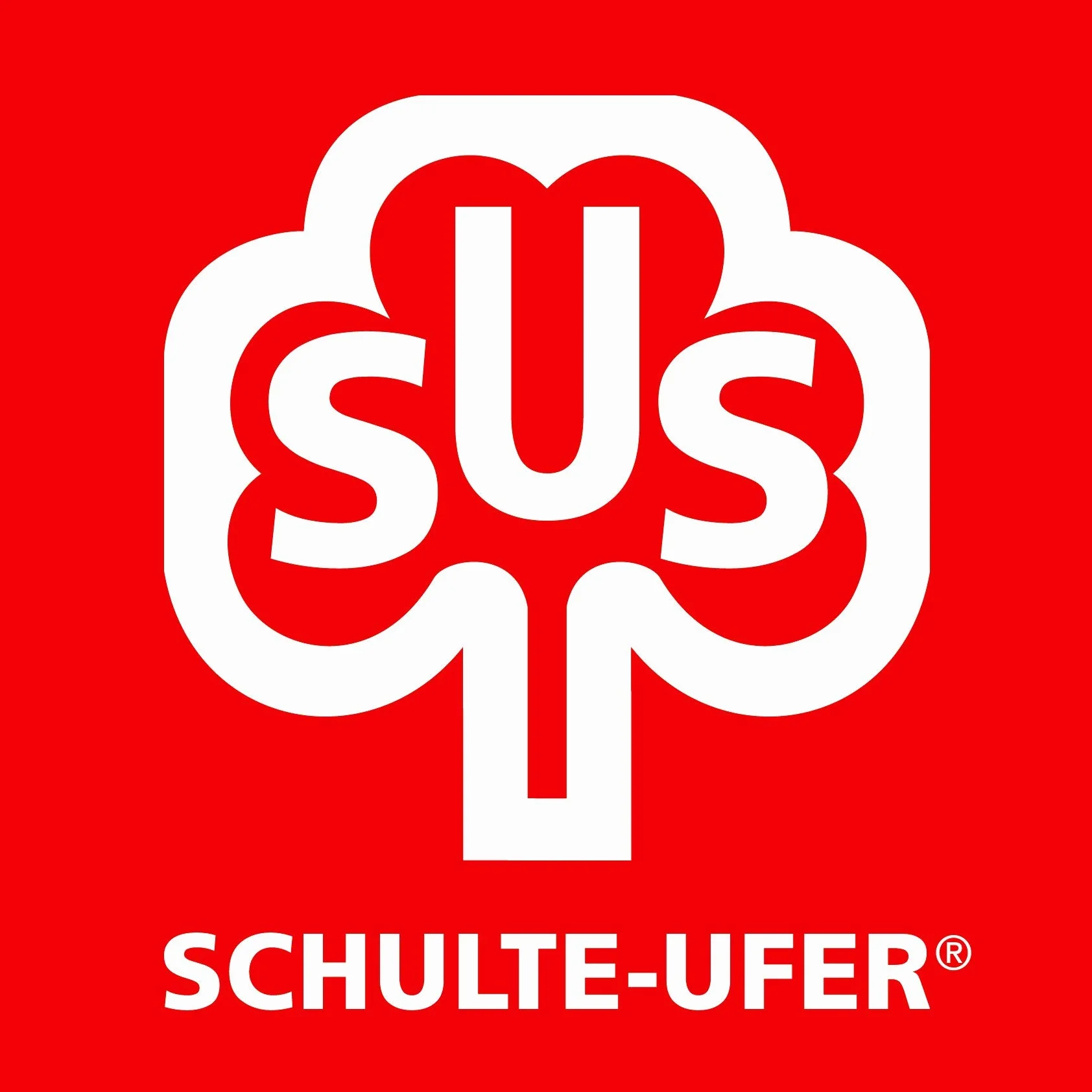 Schulte-Ufer 69061-18 Pentola per asparagi Profi-Star, 18 cm, Inserto Incluso
