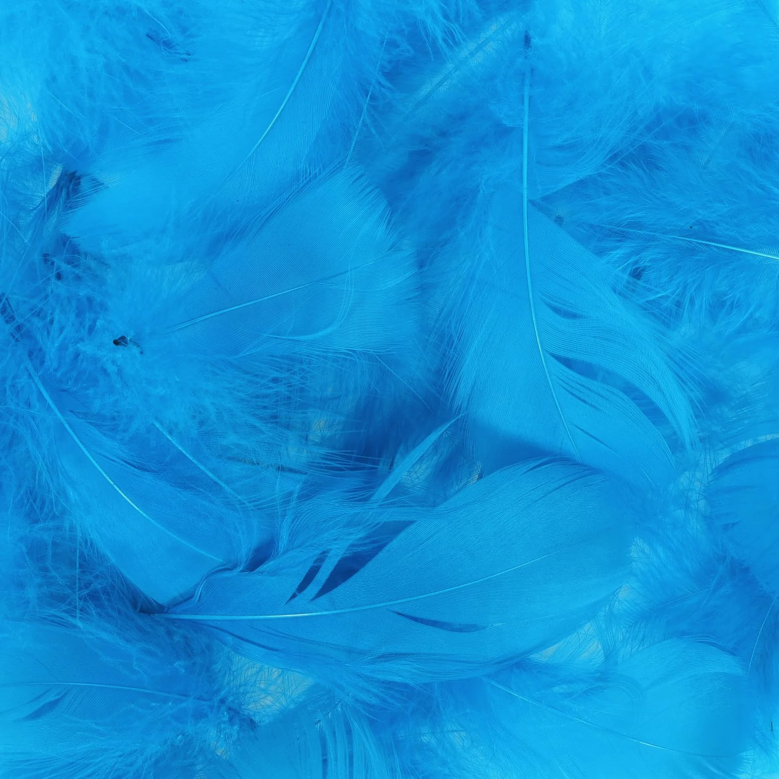 400 Pezzi Piume Decorative Blu Naturali 7-15cm per Acchiappasogni Decorazioni Artigianato