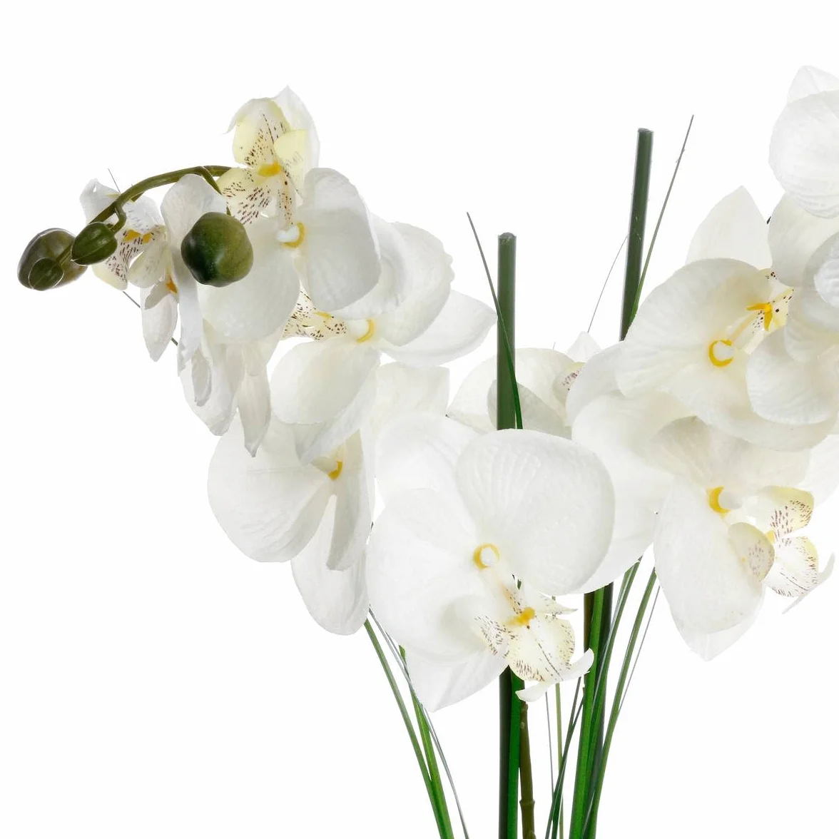 ATMOSPHERA CREATEUR D'INTERIEUR - Orchidea artificiale vaso in ceramica nera H53cm