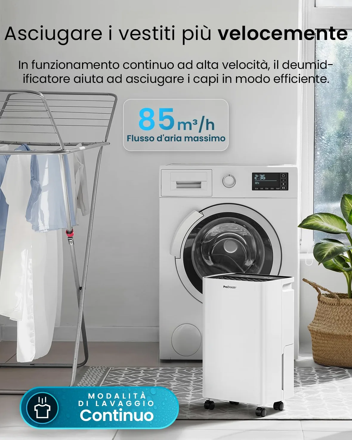 Pro Breeze Deumidificatore a compressore 6L con serbatoio dell'acqua da 2L, asciugatura della biancheria e sensore di umidità - Rimuovi muffa portatile timer 24H per umidità, muffa nera e condensa