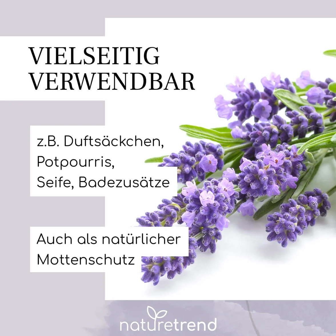 naturetrend Fiori di lavanda essiccati, 1 kg – lavanda francese della Provenza, nuovo raccolto, profumo intenso e bluastro, per cuscini profumati, profumo potpourri