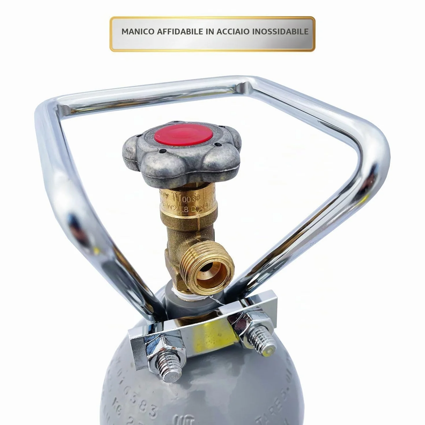 Bombola di CO2 - Bombola di stoccaggio riutilizzabile con anidride carbonica E290 - Bombola di anidride carbonica per sistema di erogazione (2 kg)