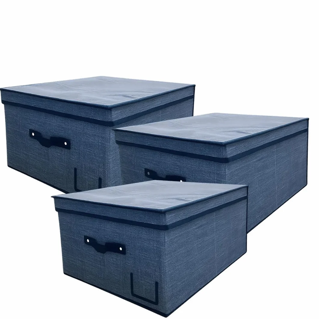 Scatole per armadio con Coperchio Set 3 - Contenitore Medi 50x40x25 cm Robusti