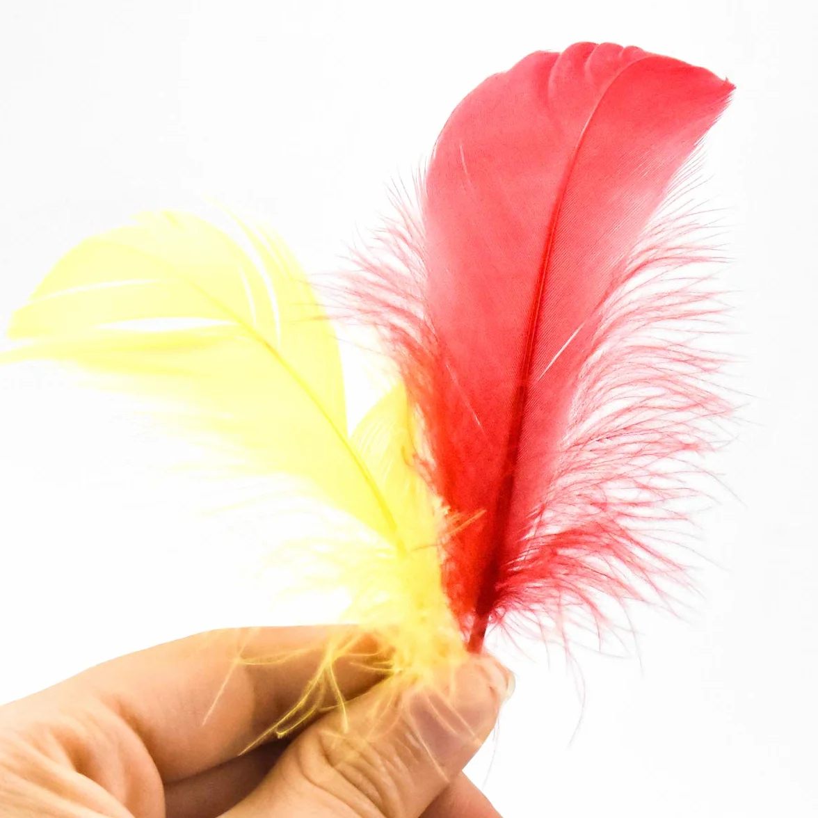 Piume Colorate Naturali 100 Pezzi per Acchiappasogni Fai da Te, Cappelli, Carnevale