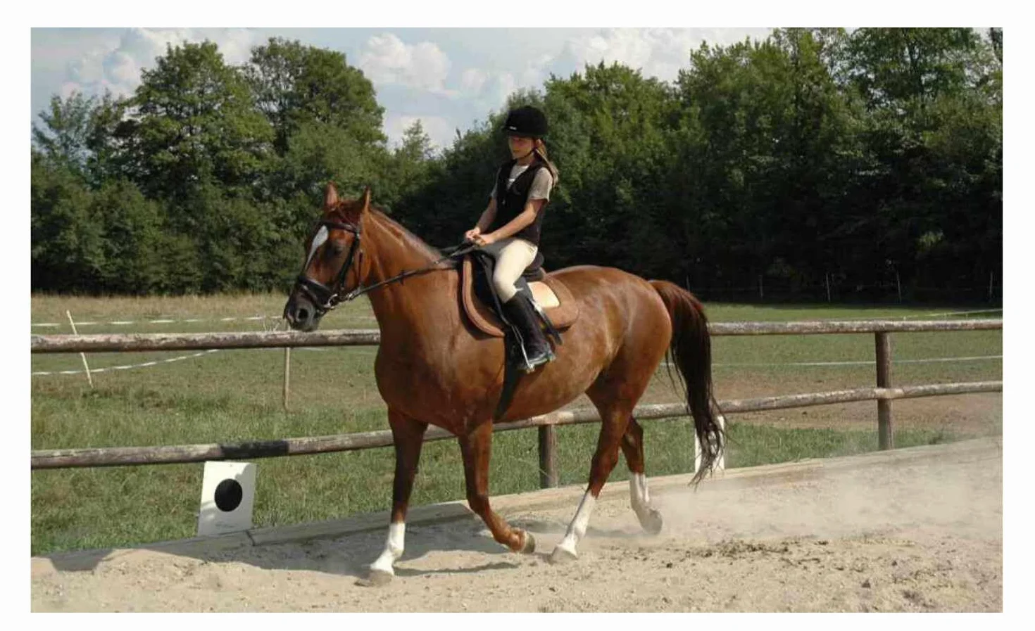 Harrys Horse Borsa per stivali da equitazione Nero