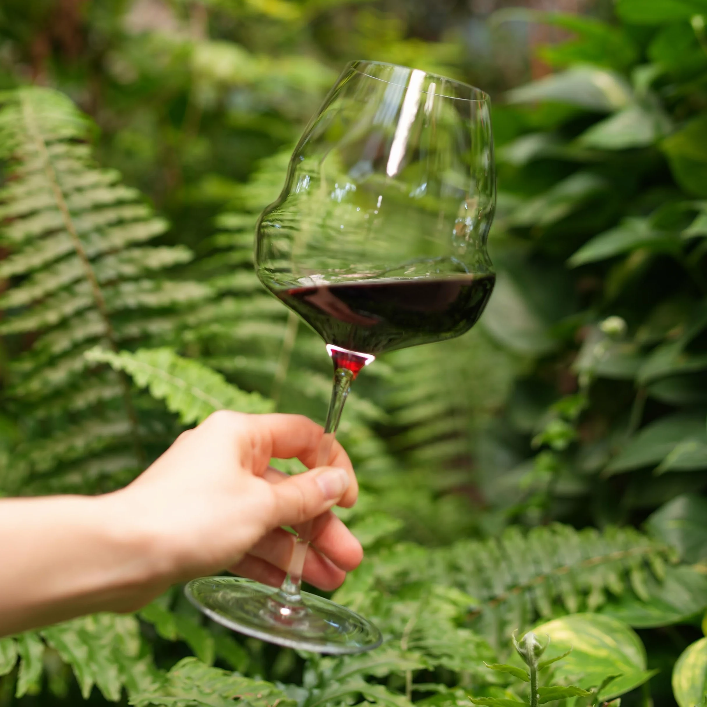 Stölzle Lausitz Calici da Vino Borgogna Cocoon Set da 6, 710ml – Calici Ideali per il Borgogna – Design Cocoon per uno Sviluppo degli Aromi – Lavabile in Lavastoviglie