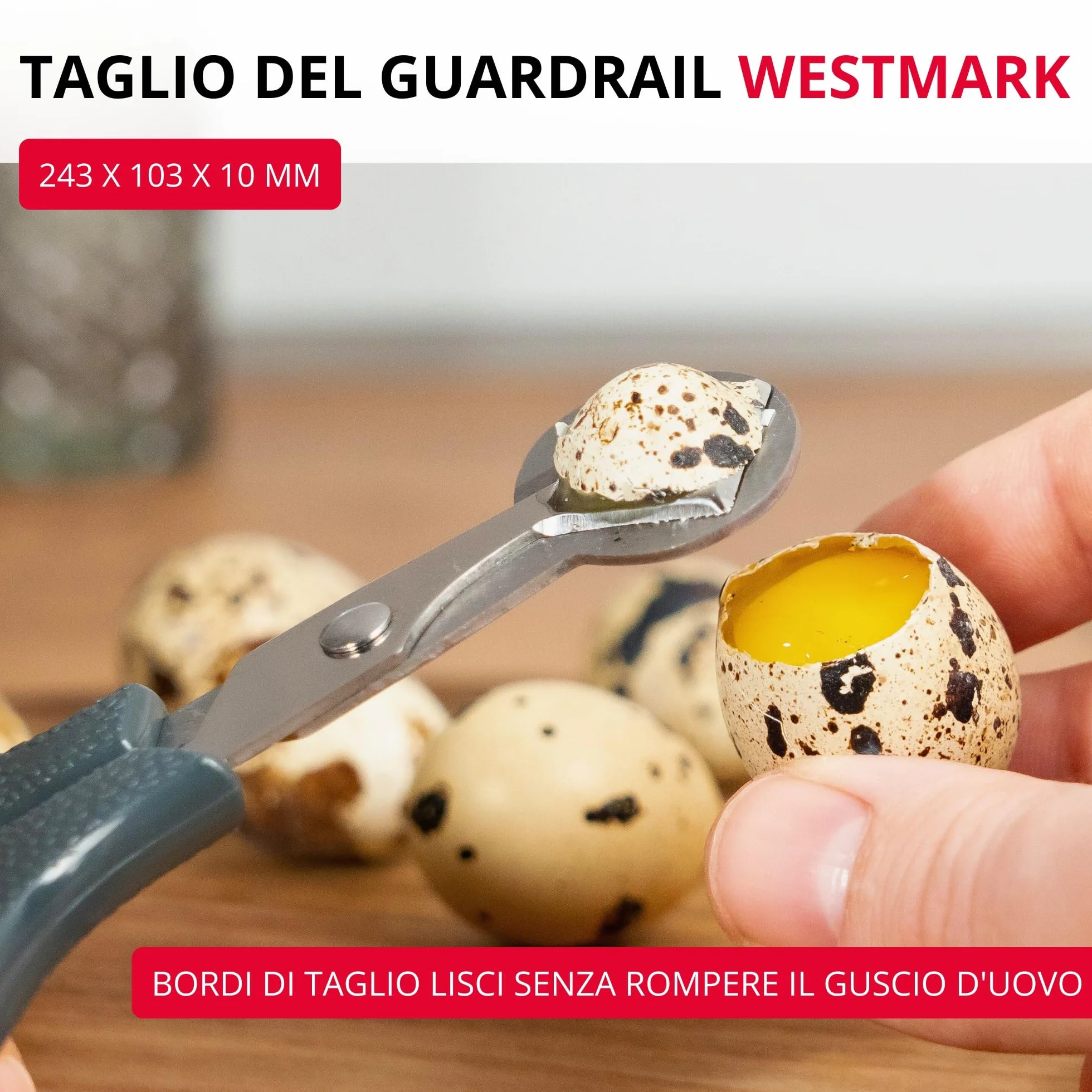 Westmark Forbici per Uova di Quaglia 1 Pezzo, Forbici da cucina per uova di quaglia, Apri guscio d'uovo in acciaio inossidabile preciso, Nero/argento