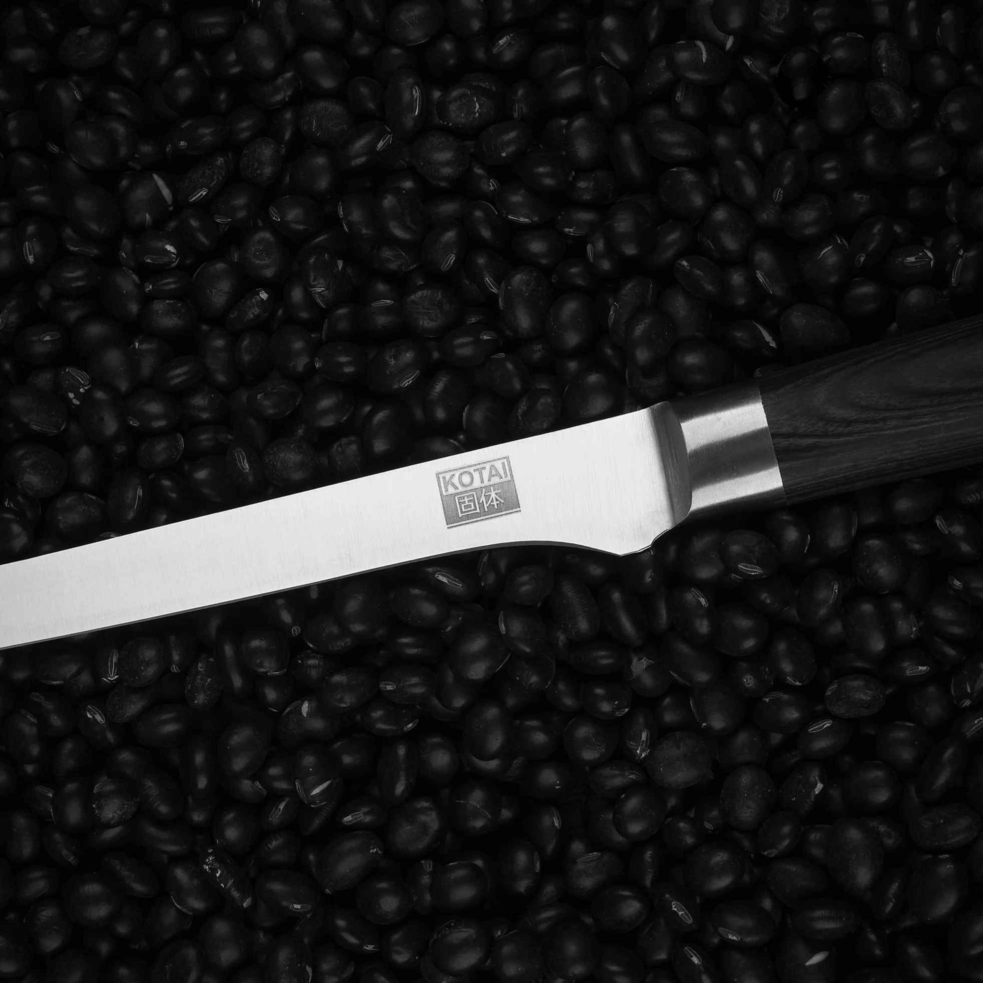 KOTAI | Coltello da pesce | Filetto di sogliola | Lama flessibile da 20 cm | Ideale per sfilettare il pesce | Affilato a mano | Acciaio inossidabile giapponese 440C | Manico in legno di Pakka