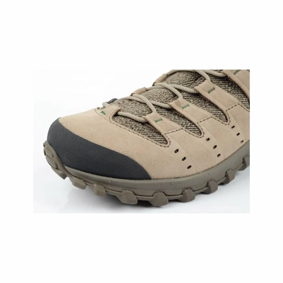 Scarpa da Trekking Bassa AKU Alterra Lite GTX Uomo