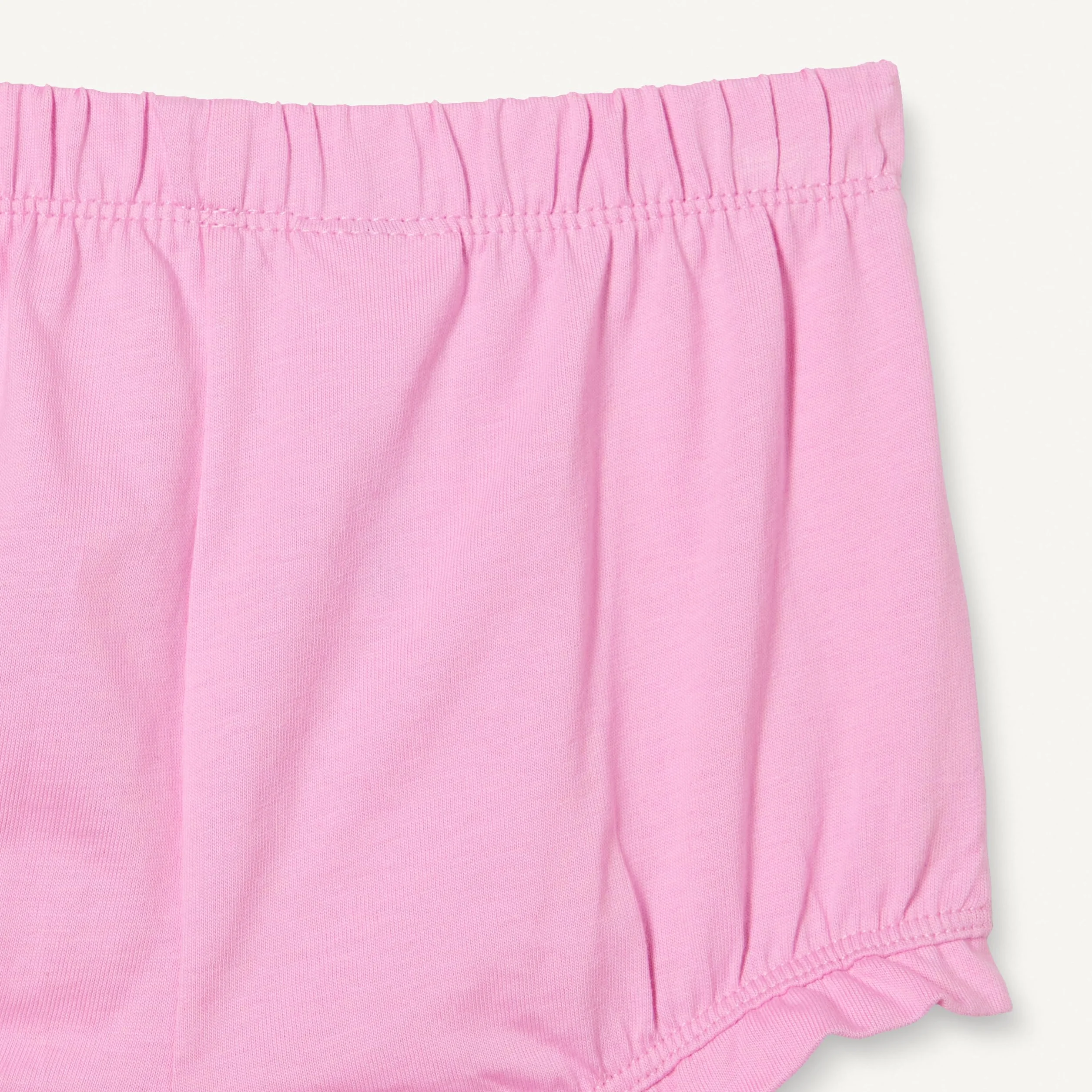 Amazon Essentials Bimba 0-24 Pantaloncini Bloomer in Cotone
