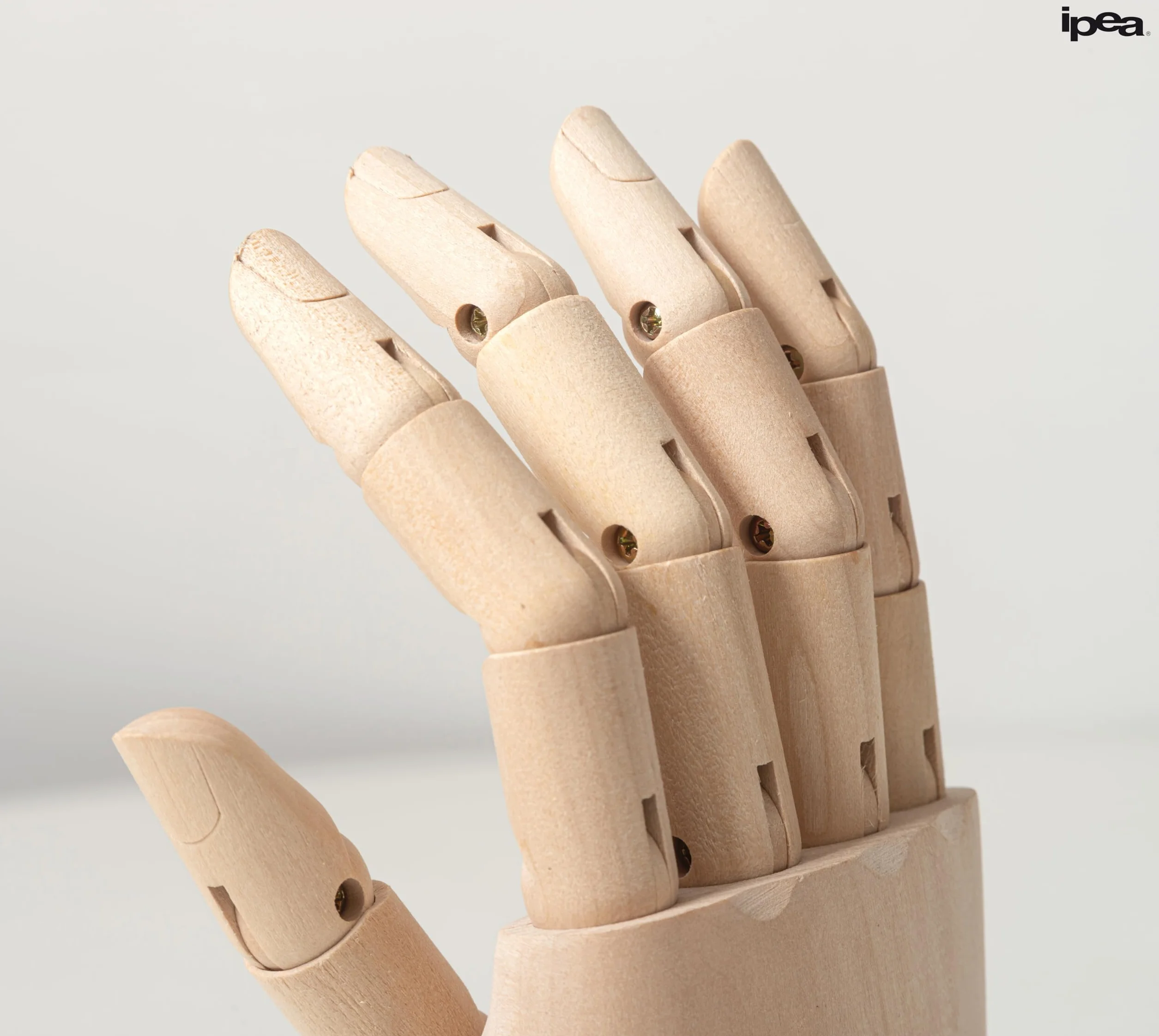 IPEA Mano in Legno Grande 30 cm Snodabile Flessibile Dita Mobili per Disegnatori Mano Destra Manichino Corpo Umano Arte Portaoggetti