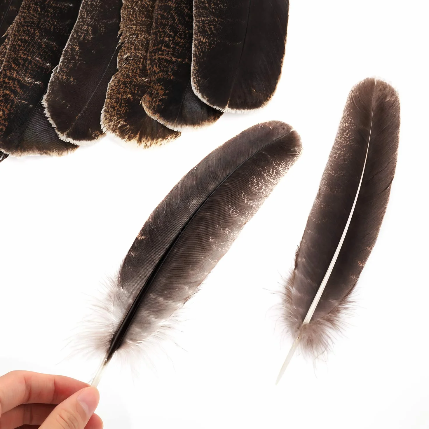 Piume di Fagiano Naturali 20-30cm Morbide per Artigianato Carnevale Decorazione 10 Pezzi