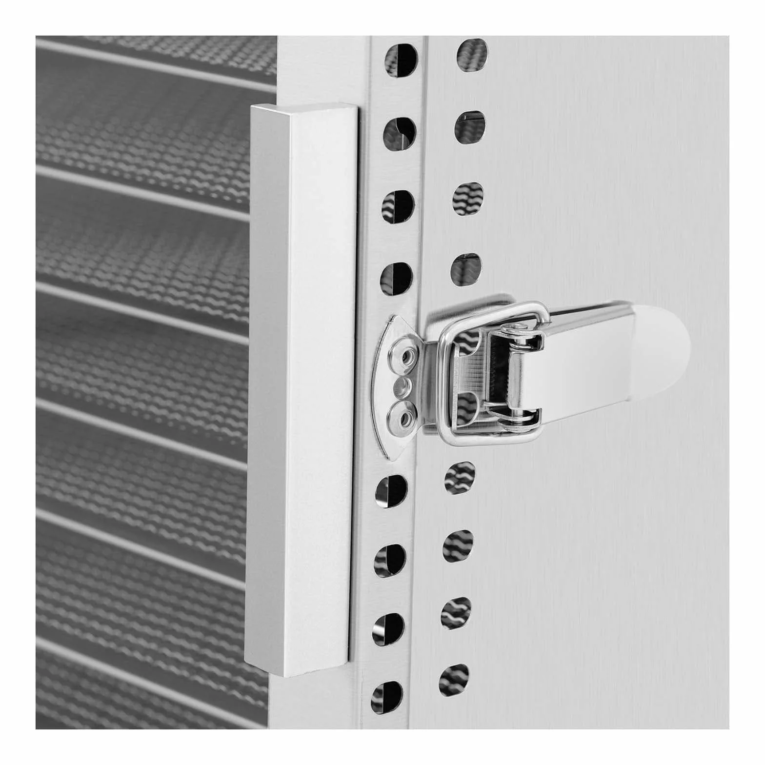 Royal Catering Essiccatore per Alimenti Professionale Disidratatore Frutta e Verdure RCDA-500/45S (800 W, 12 ripiani, 230 V, Acciaio Inox)