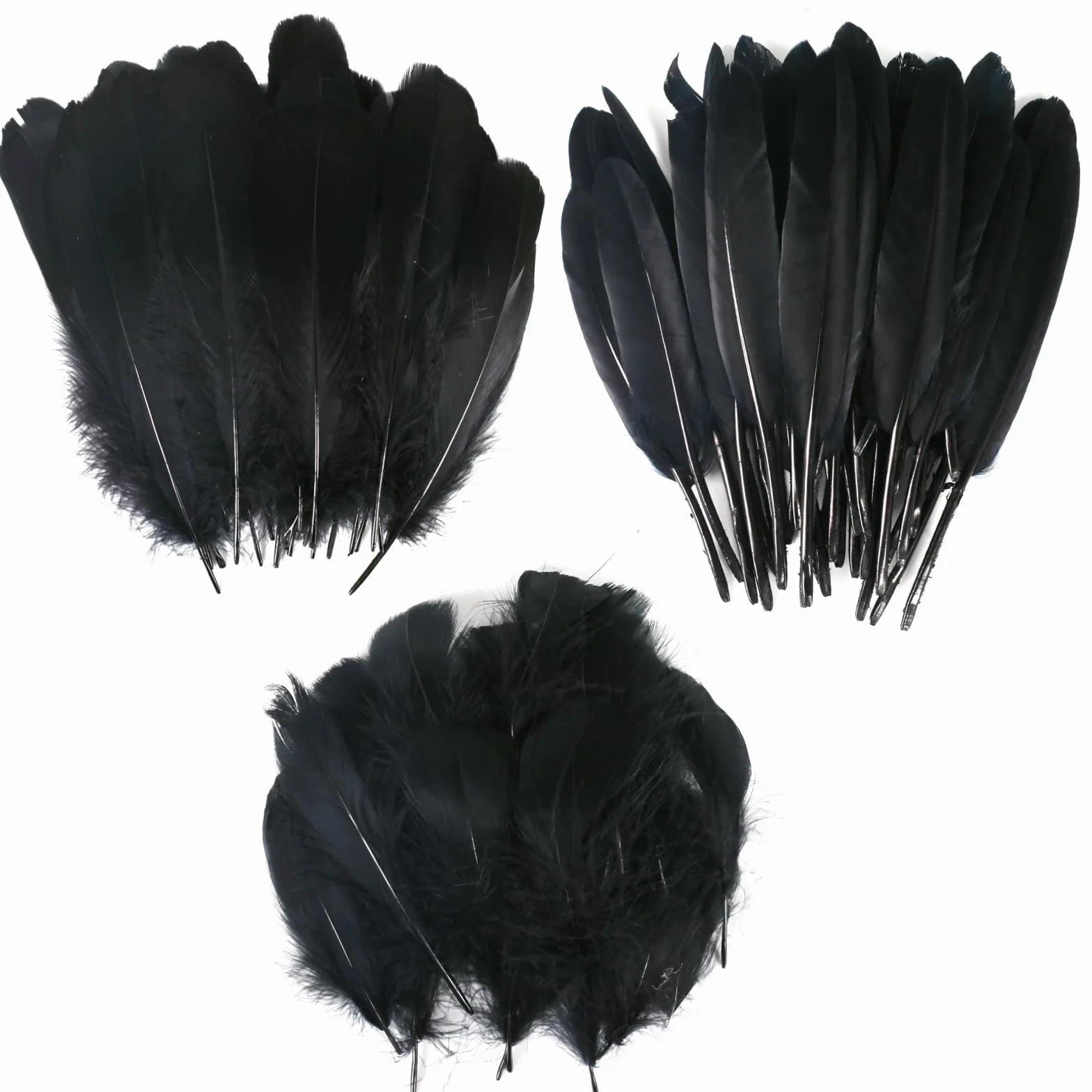 Piume Naturali Colorate Nere 250pcs Decorative per Fai da Te Orecchini Matrimoni