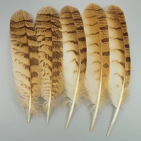 Naturali Piume D'aquila RAEF 10 Pz per Artigianato Decorazione Copricapo Carnevale