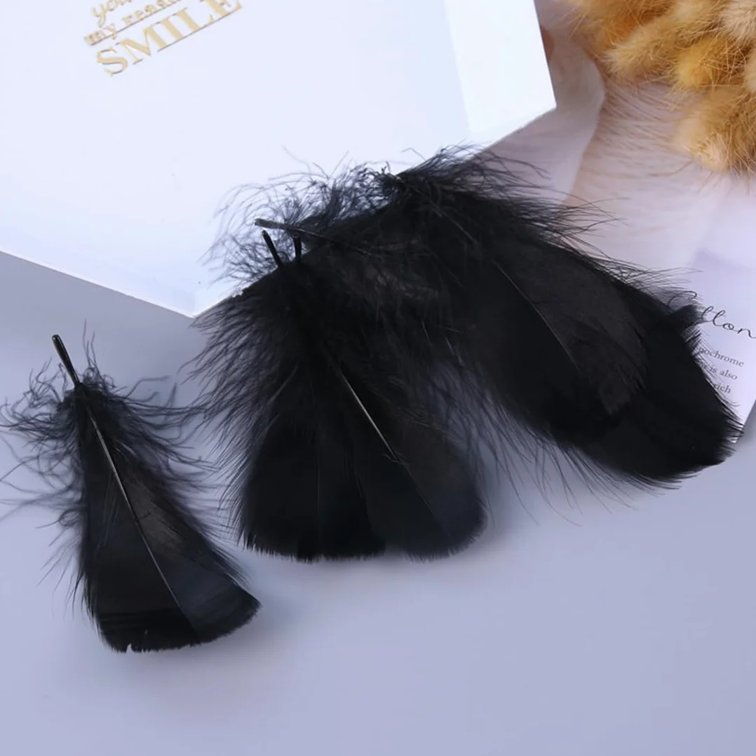 Piume Decorative 200 Pezzi 20g Piume d'Oca Artigianali per Lavoretti Abiti Decorazione
