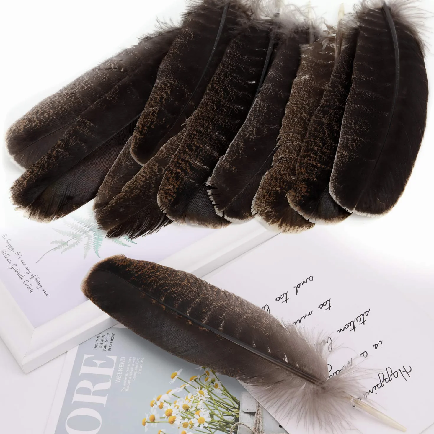 Piume di Fagiano Naturali 20-30cm Morbide per Artigianato Carnevale Decorazione 10 Pezzi