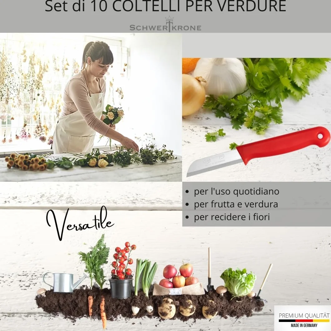 Schwertkrone Coltelli da Frutta e Spelucchino Set 10 pezzi Acciaio Inox Professionale Solingen Germania