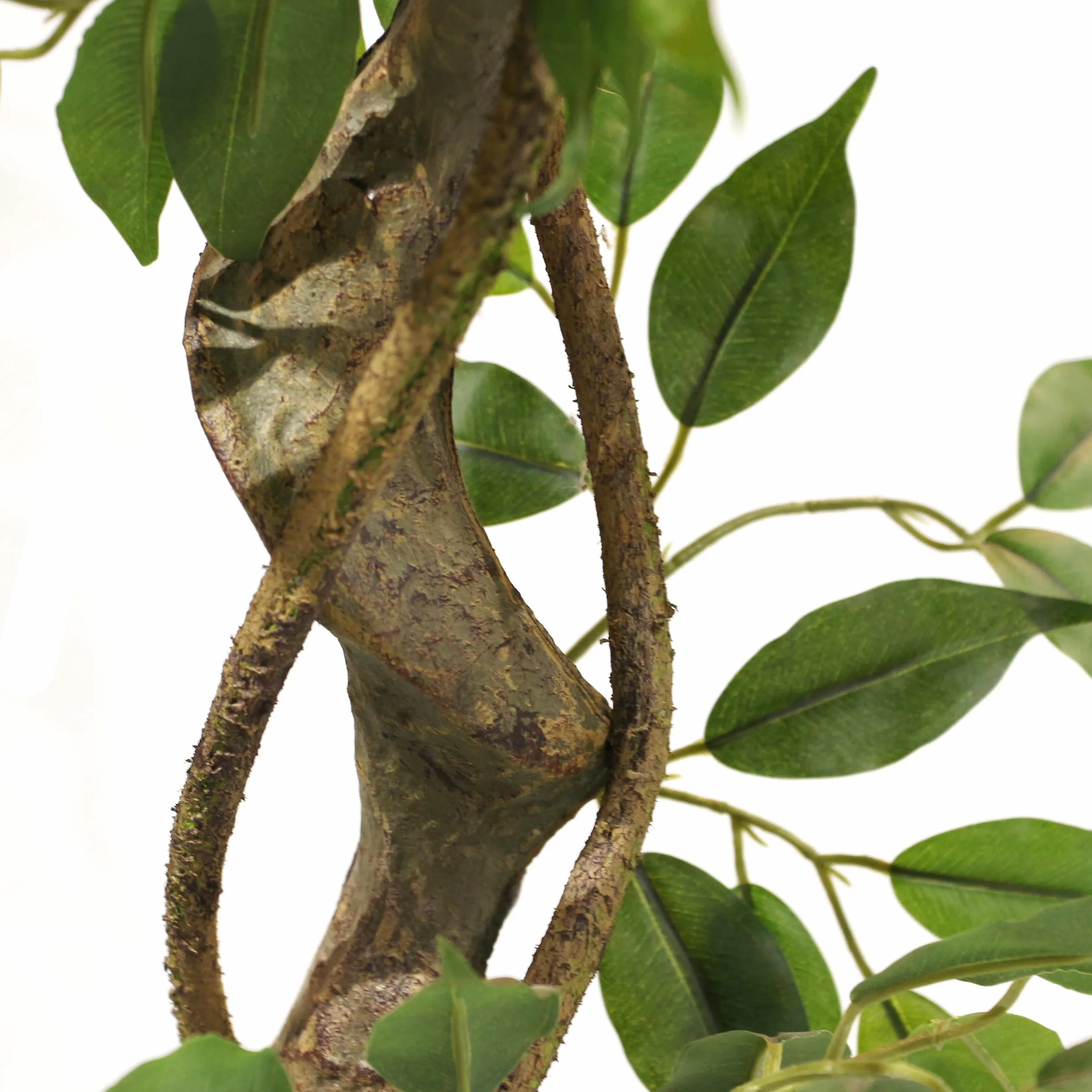 HJH Office Pianta artificiale FICUS I Pianta artificiale decorativa 120 cm, fico di betulla, albero artificiale di facile manutenzione, verde 871057