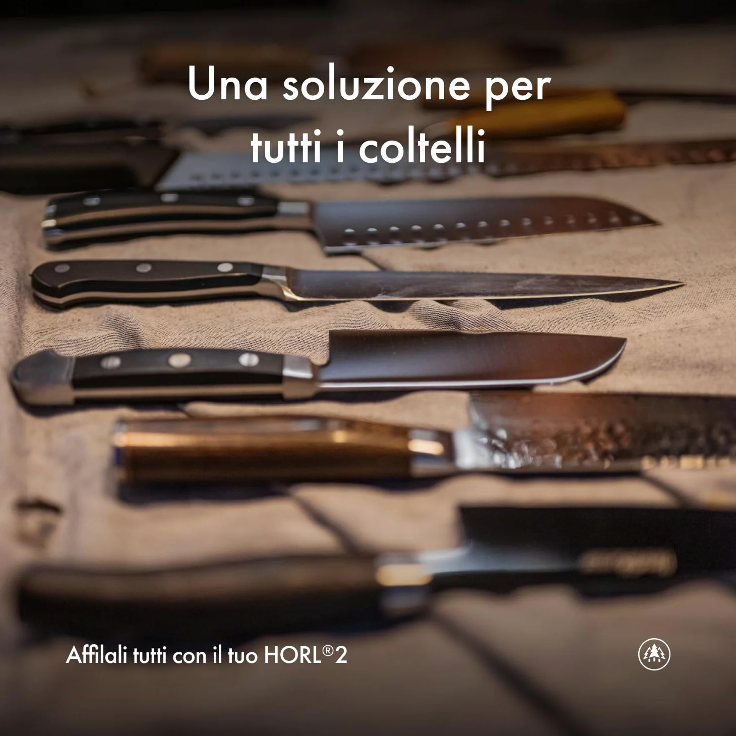 Affilacoltelli a rullo HORL 2 quercia - Made in Germany - Kit per affilare facilmente i coltelli - Affilacoltelli a rullo con supporto magnetico a 15 e 20 gradi