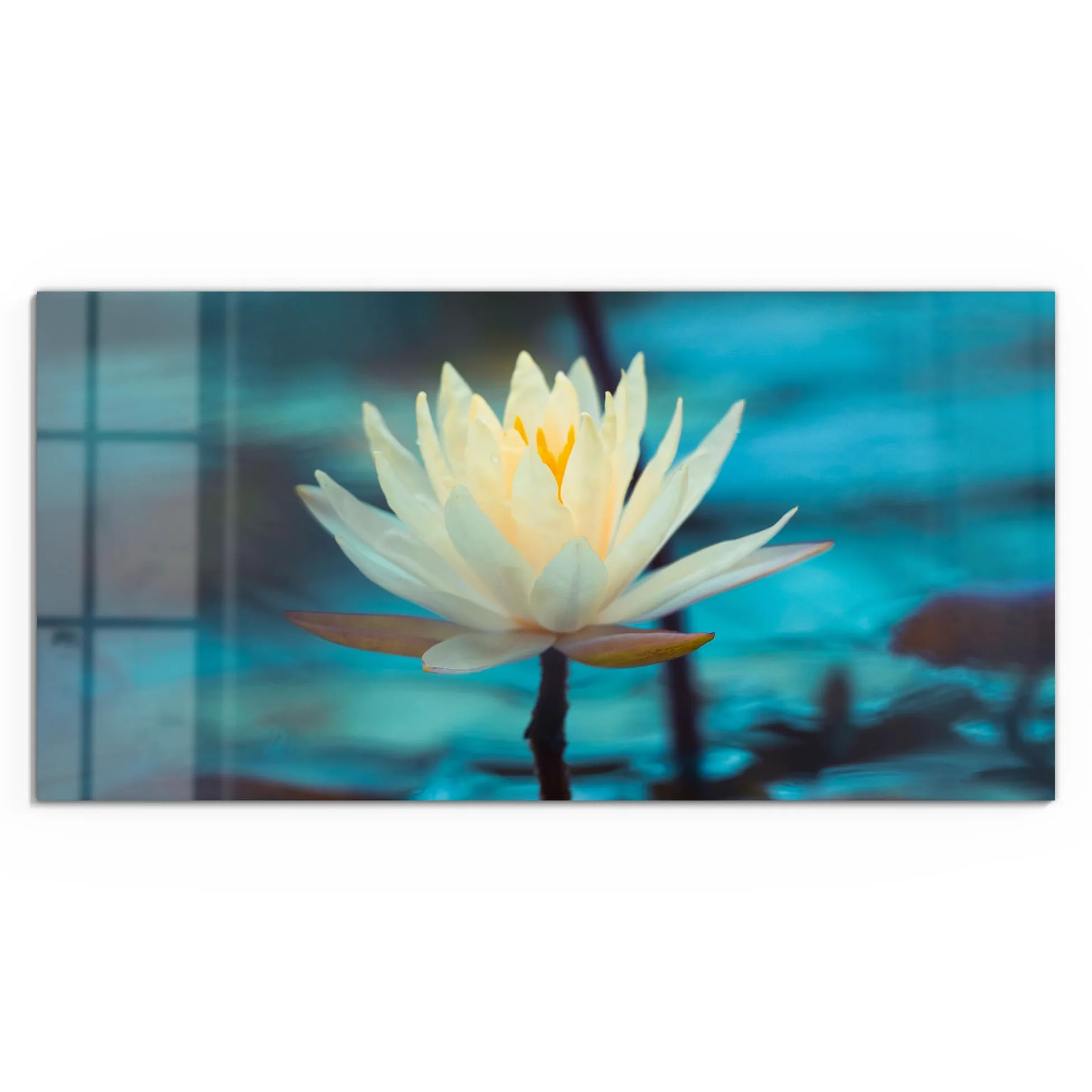DEQORI Quadro in vetro vero | Motivo ninfee serenità | orizzontale unico pezzo 100 x 50 cm | bella decorazione da parete per soggiorno, camera da letto, corridoio e cucina | moderna decorazione da