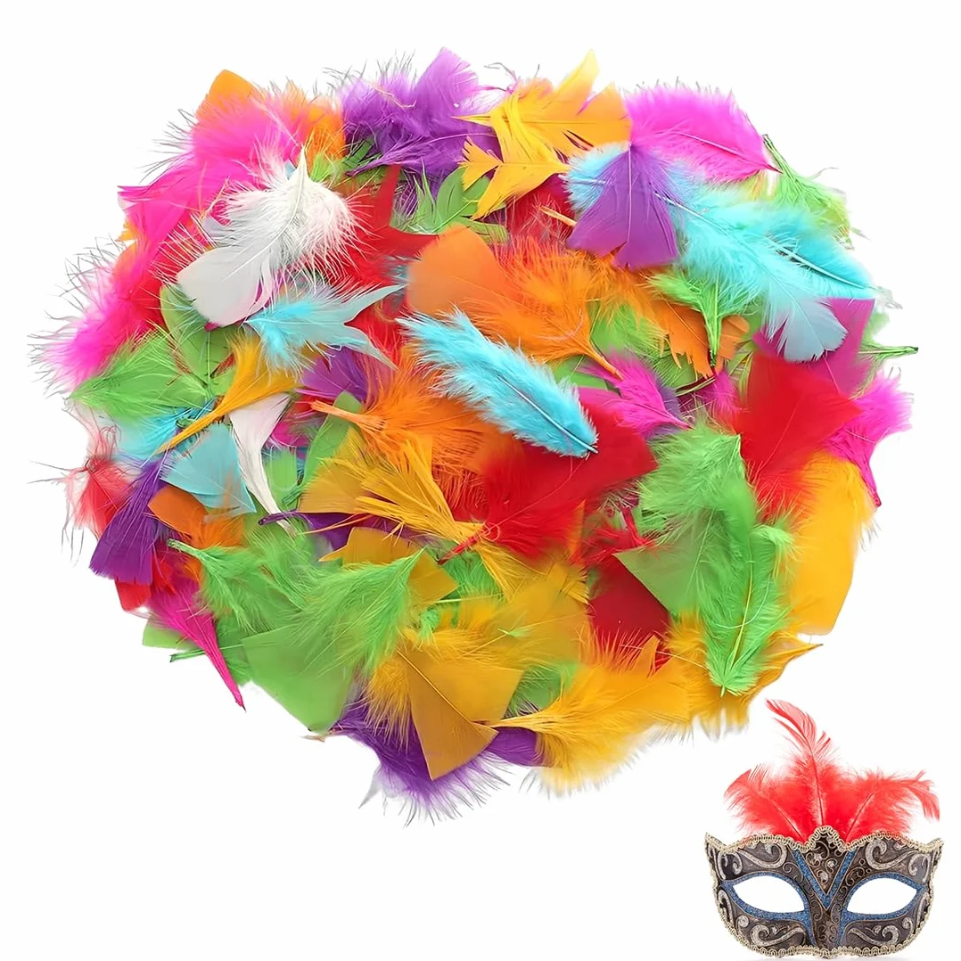 600 Piume Colorate, Piume Naturali Decorative, Piume D'Oca, Per Fai da Te Bambini Insegnanti, Decorazioni per Feste Matrimoni Halloween Carnevale, 5cm, Multicolore