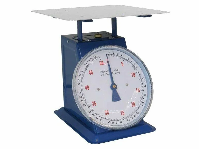 Bilancia a sfera portata 30kg piatto piano inox divisione 100gr