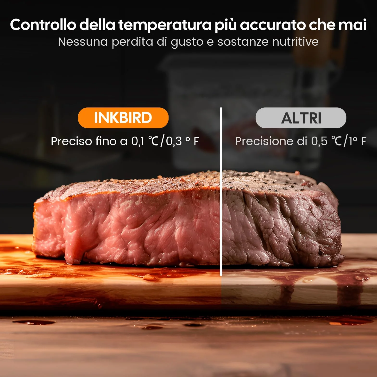 INKBIRD Wifi Sous Vide Roner 1000W 0-90℃ Cottura Bassa Temperatura TFT