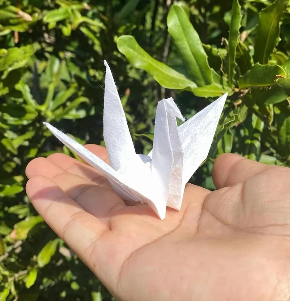 Carta Washi A4 fibra naturale gelso per origami artistici, biglietti fai da te (bianco crema)