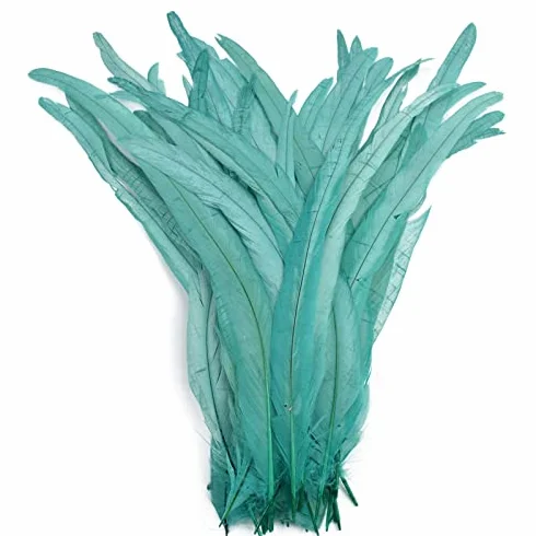 Piume di Gallo Colorate 100 Pezzi Artigianato Materiali Legatura Fagiano Lungo Decorazione Nozze Carnevale