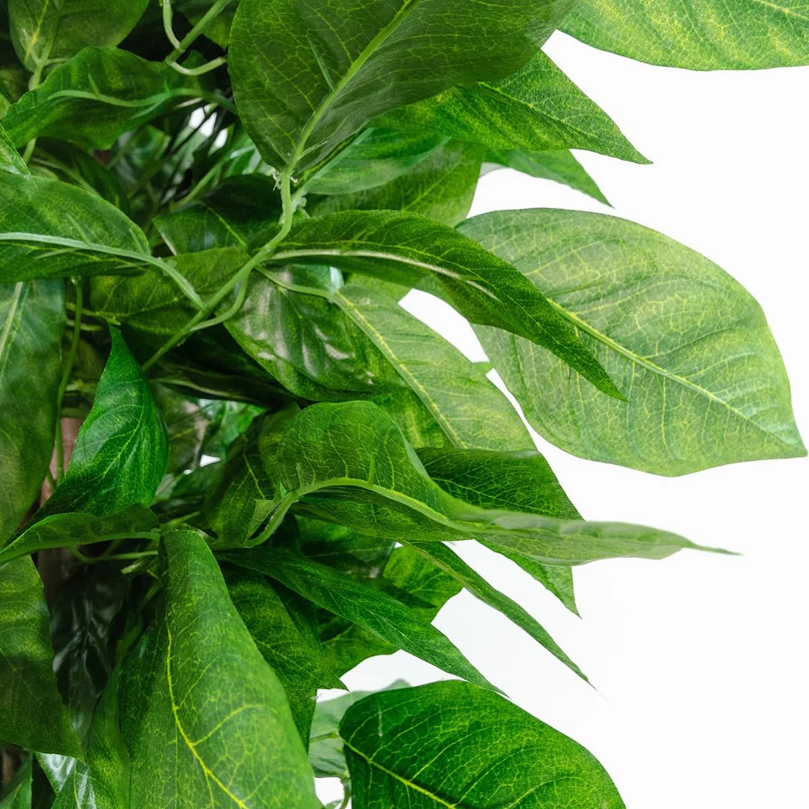 BLAINE Piante Finte da Interno Albero di Mango 150 cm Aspetto Iperrealistico per Decorazione Casa e Ufficio Senza Manutenzione