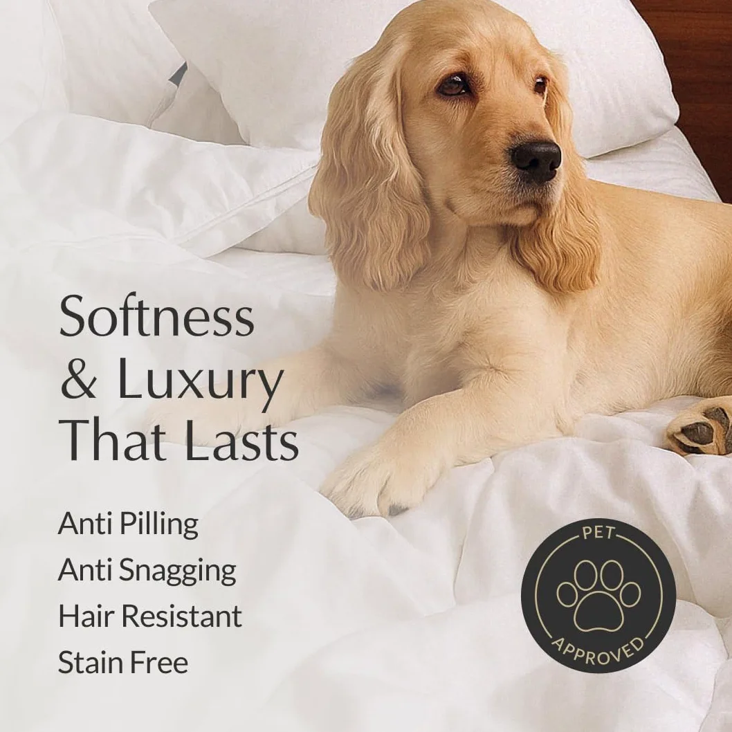 Buffy Cloud Comforter – Tessuto Lyocell lavabile in lavatrice, imbottitura alternativa al piumino, extra soffice inserto trapuntato con linguette angolari (misura Queen)