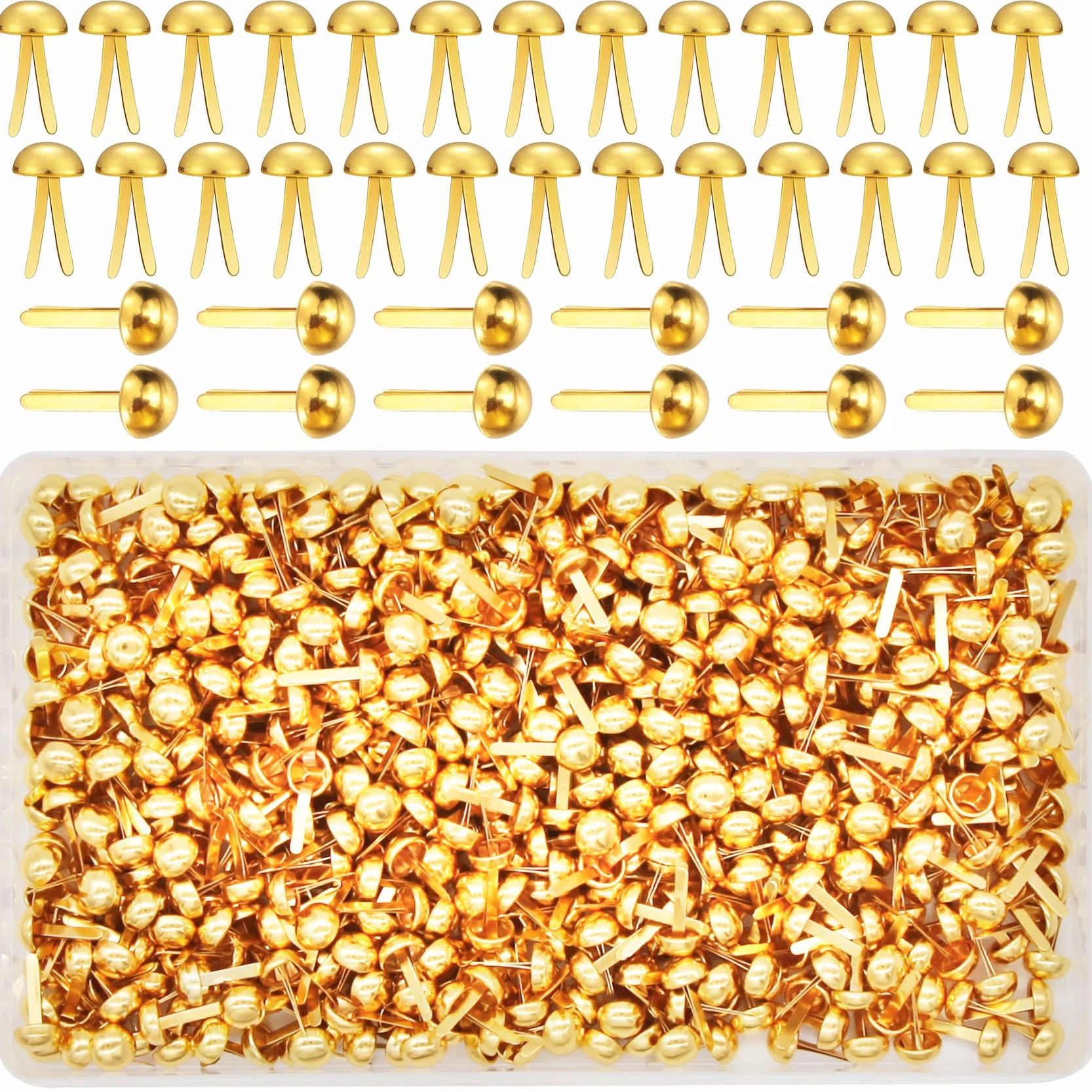 EuTengHao 700Pcs Ottone Elementi di fissaggio Scrapbooking Brads Testa rotonda Ottone placcato Elementi di fissaggio per l'artigianato Arte Artigianato Scuola Progetto Decorativo Scrapbooking