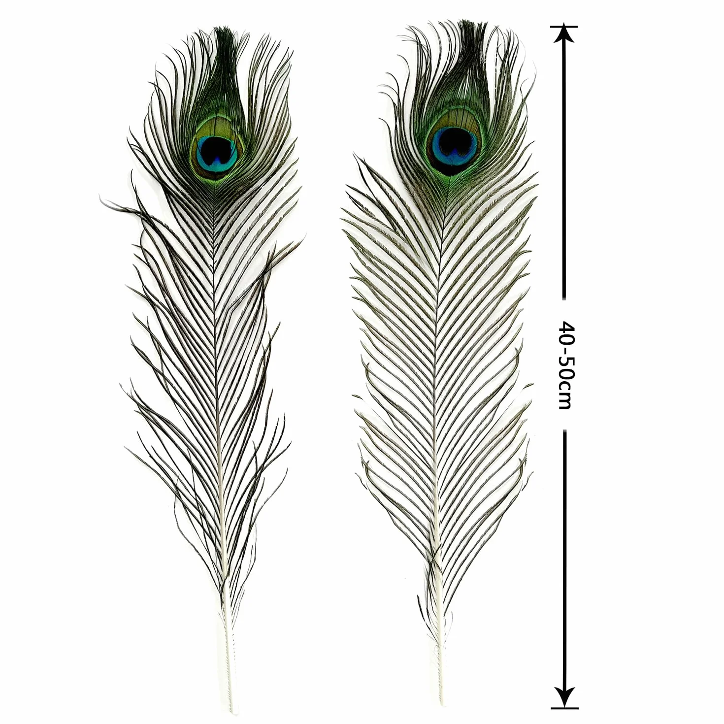 Naturalne pióra pawia z oczkami 40-50 cm 25 sztuk dekoracja ślubna