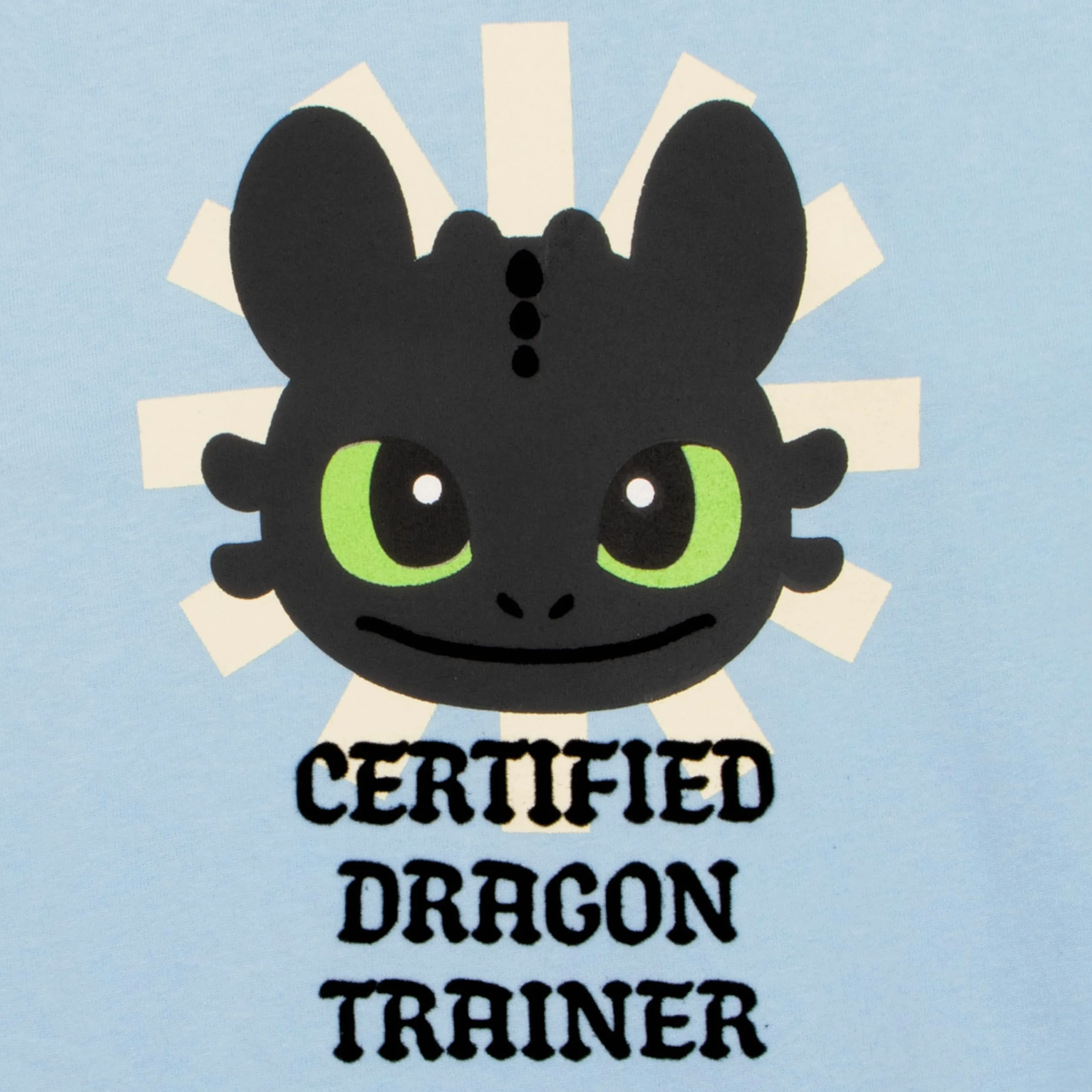 How To Train Your Dragon , Felpa Bambina, Maglione Ragazza Sdentato, Felpa Ragazza Primavera Dragon Trainer, Abbigliamento Bambina Cotone