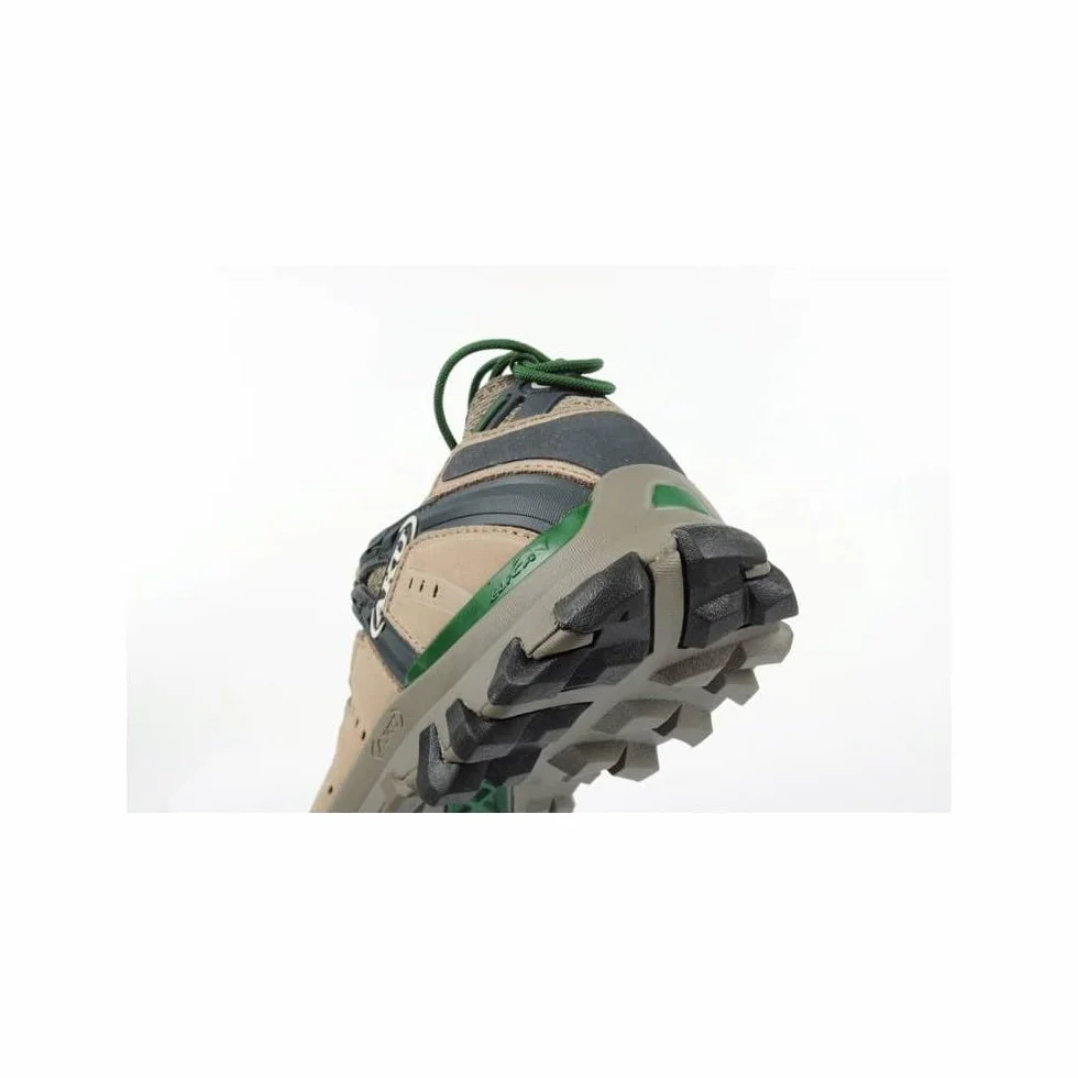 Scarpa da Trekking Bassa AKU Alterra Lite GTX Uomo