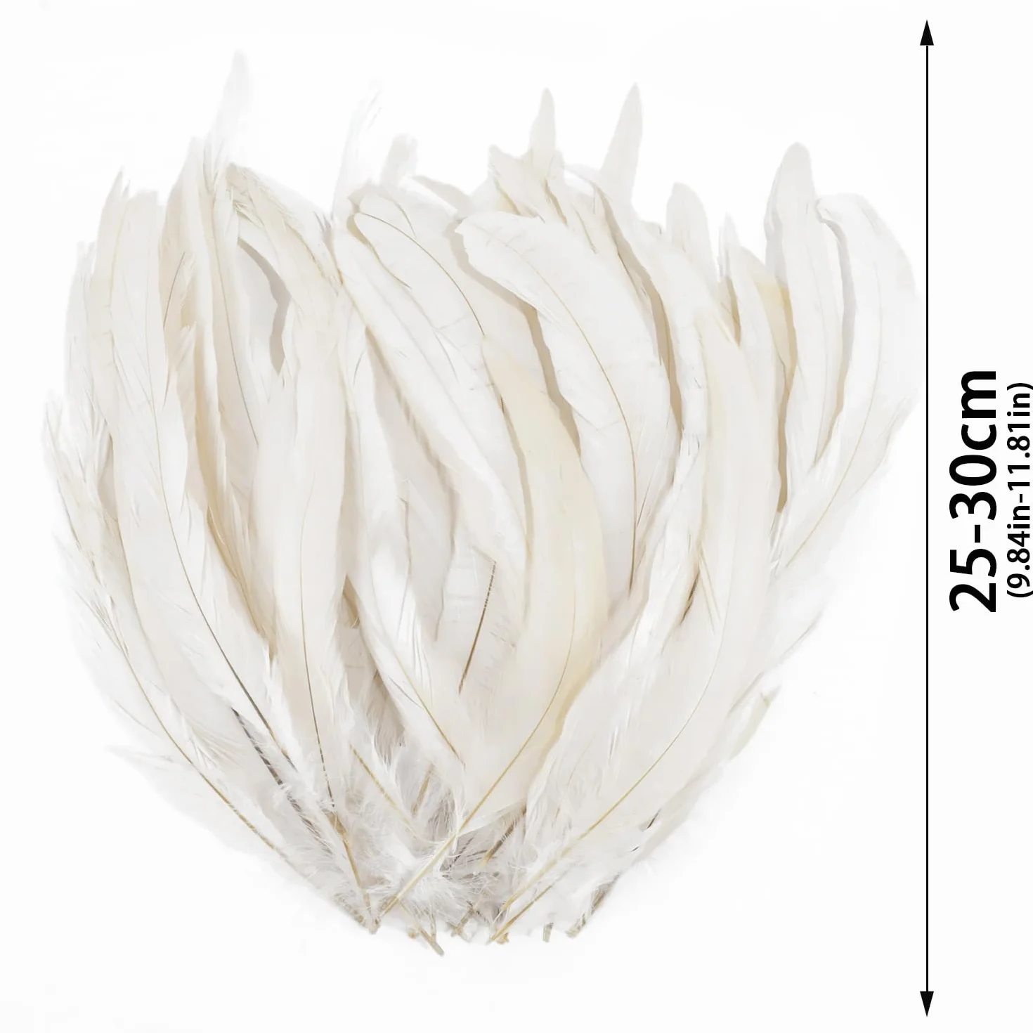 Piume Decorative Bianche Naturali Piume Gallo per Fai da Te Copricapo Artigianato Costum (25-30cm) 20 Pezzi