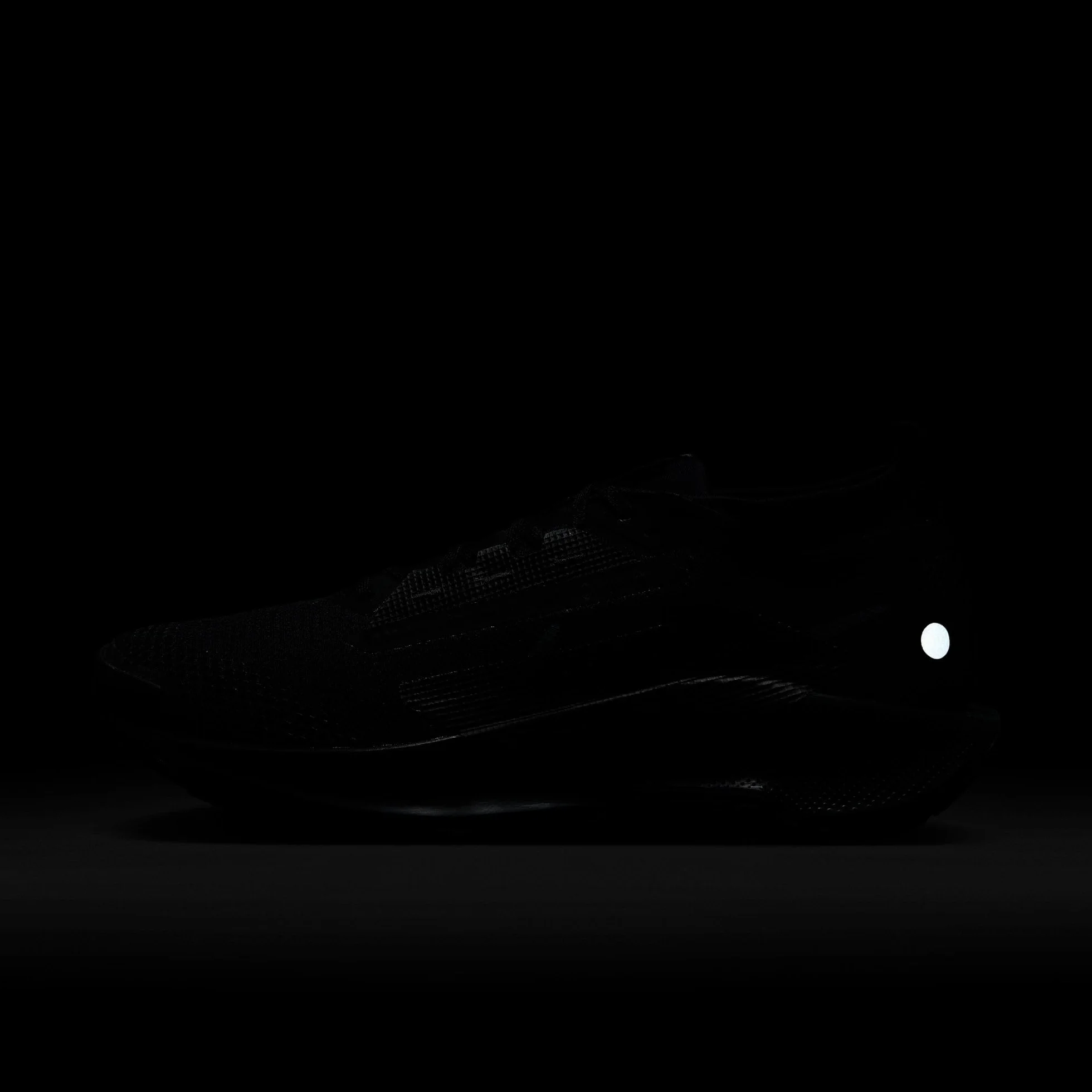 Nike Pegasus Trail 5 Gore-Tex SneakerUomo